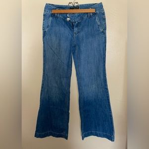Banana Republic Flare Jeans